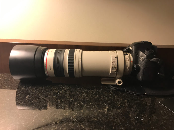 Canon 100-400L on a Canon 6D extended