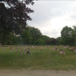 a field of flags with trees and grass