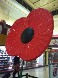 Poppy in the Pallasades, Birmingham 2011