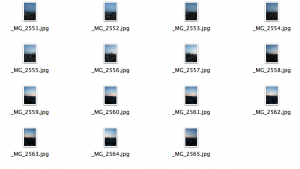 a screenshot of a photo