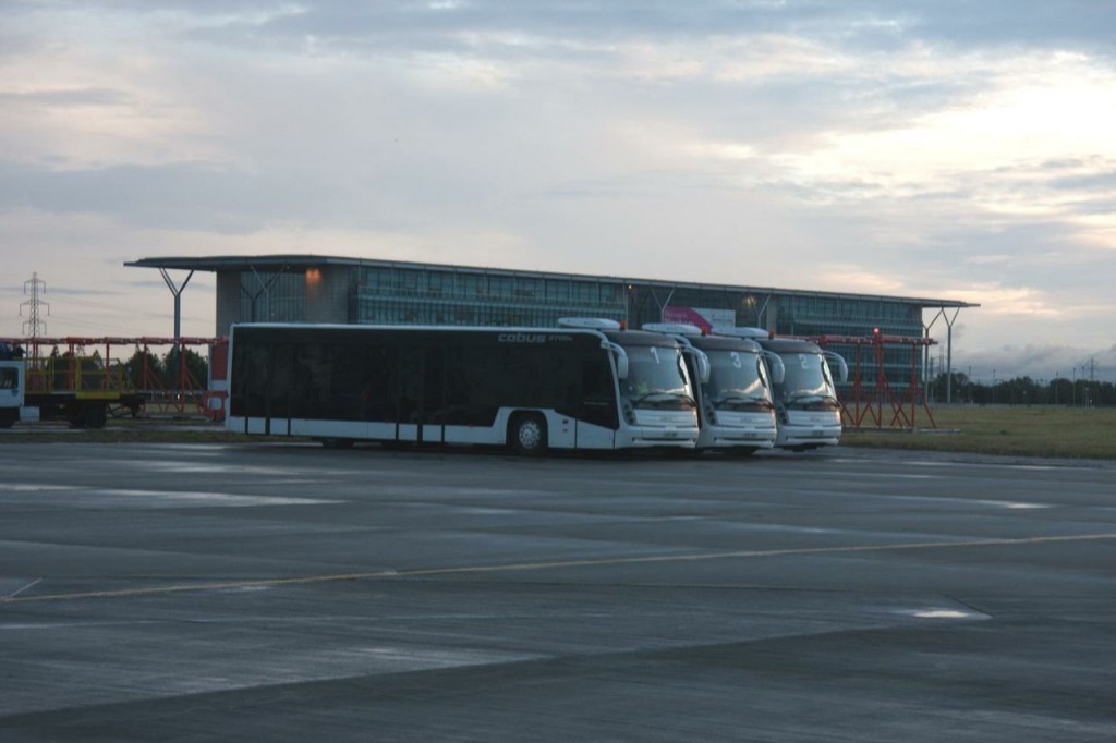 a group of buses parked in a parking lot