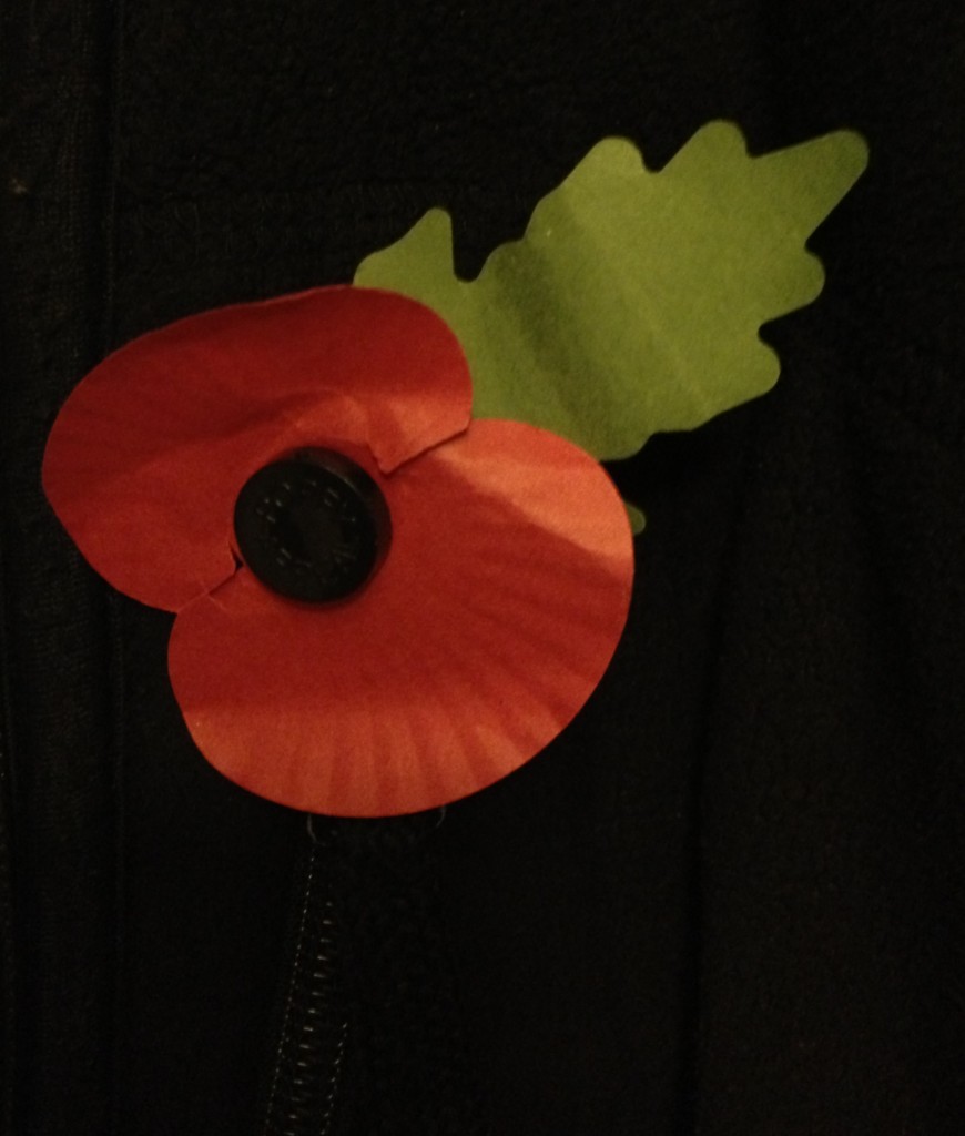 a red poppy with a green leaf on a black jacket