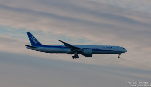 All Nippon Airways Boeing 777-300ER - Image, Economy Class and Beyond