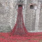 a tower of red poppies on a stone wall
