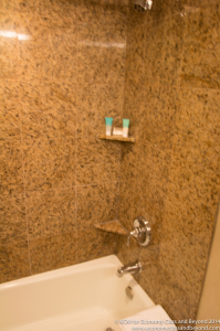 Hyatt Regency O'Hare