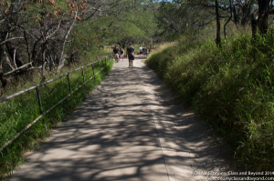 Diamond Head Hike with a Canon 100D