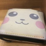 My wallet. Any judgments that I have a Pikachu wallet will be promplty ignored.