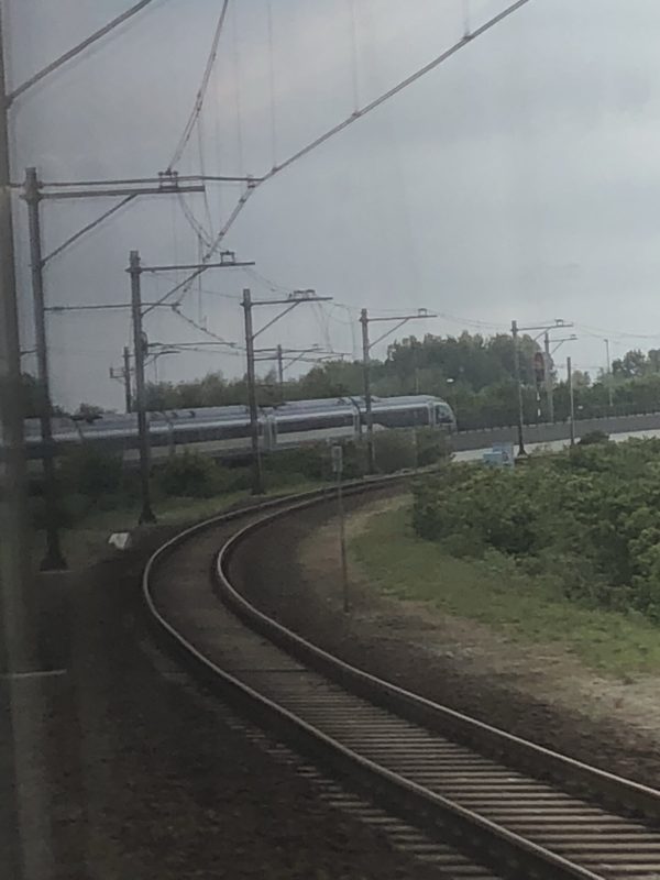 train on the tracks
