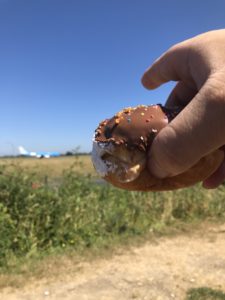 a hand holding a chocolate covered doughnut