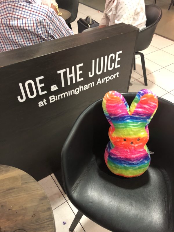 a rainbow bunny sitting on a chair