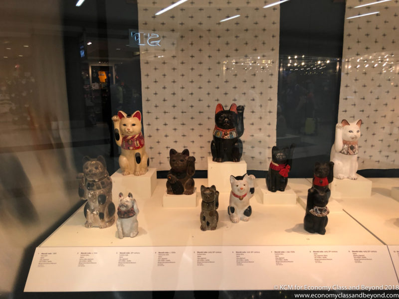 a group of cats on display