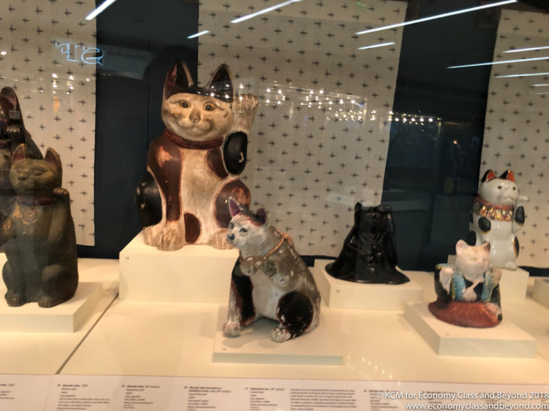 a group of cats and dogs on display