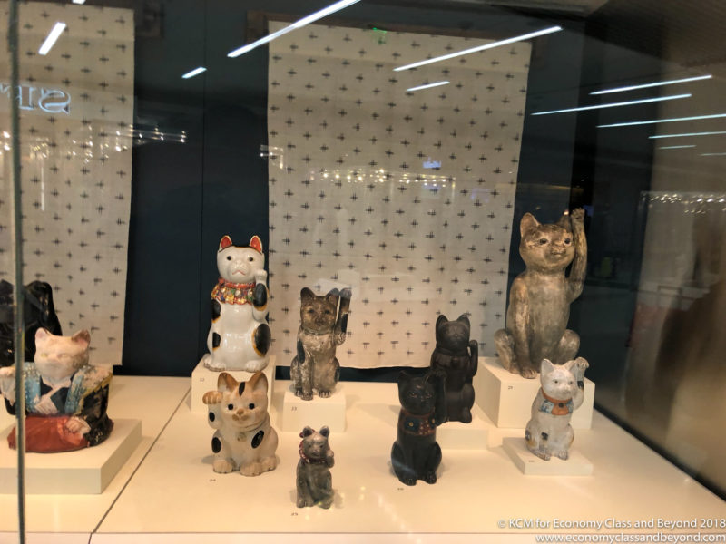 a group of cats on display