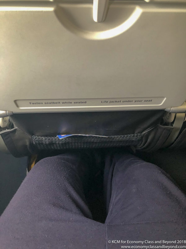 a person's legs and a seat belt
