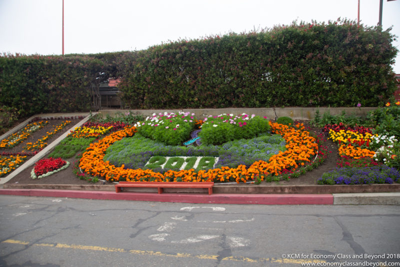 a flower bed with flowers in it