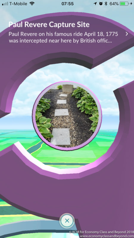 a purple circular object with a view of a path through it