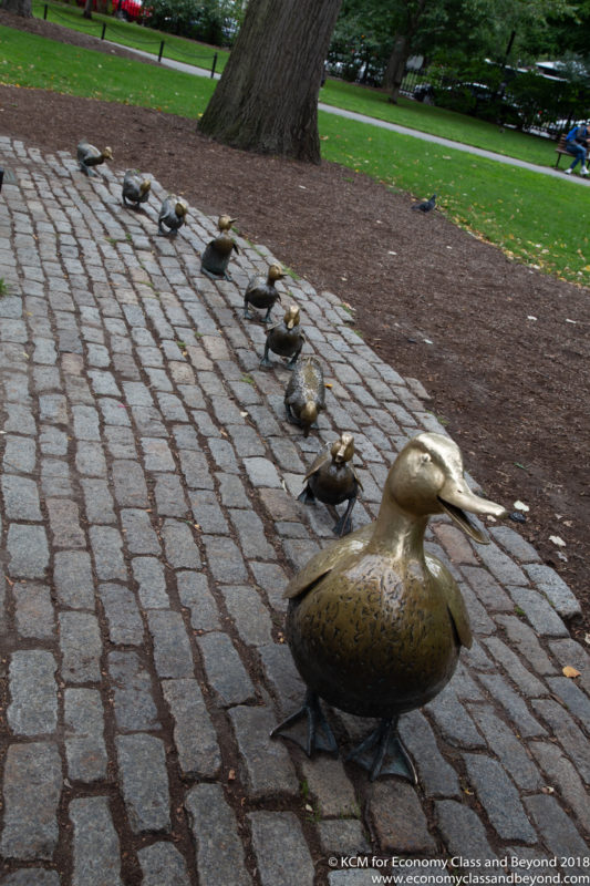 a group of ducks on a brick path