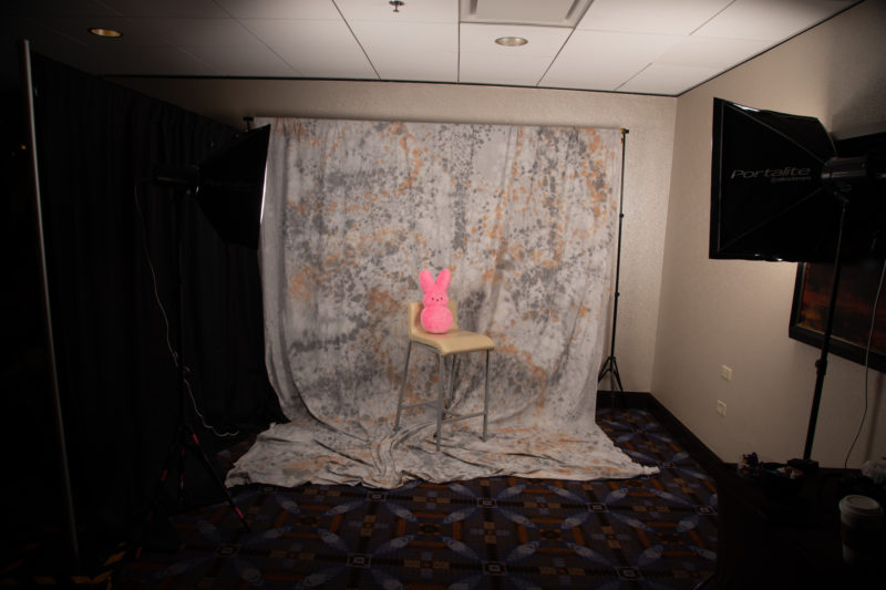 a pink bunny on a chair in a photo studio