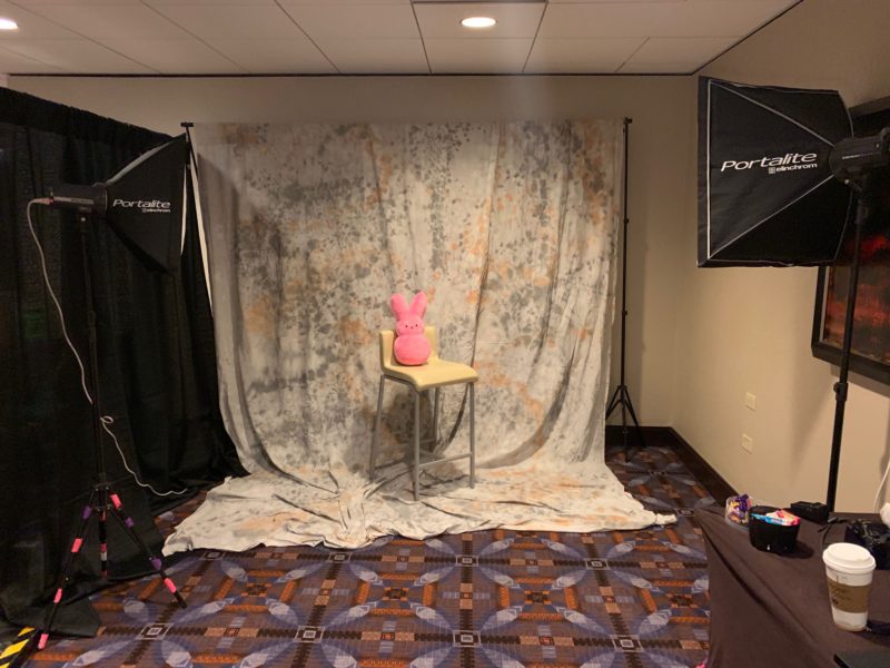 a photo studio with a pink bunny on a chair