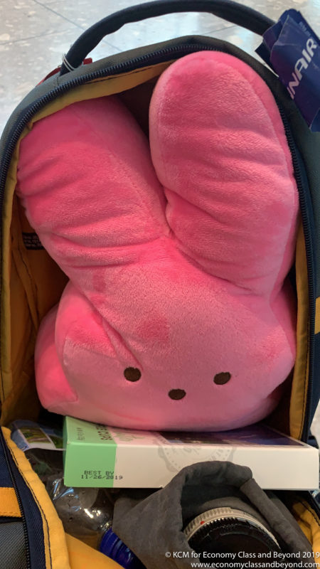 a stuffed animal in a backpack