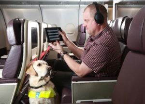 a man and dog sitting in an airplane