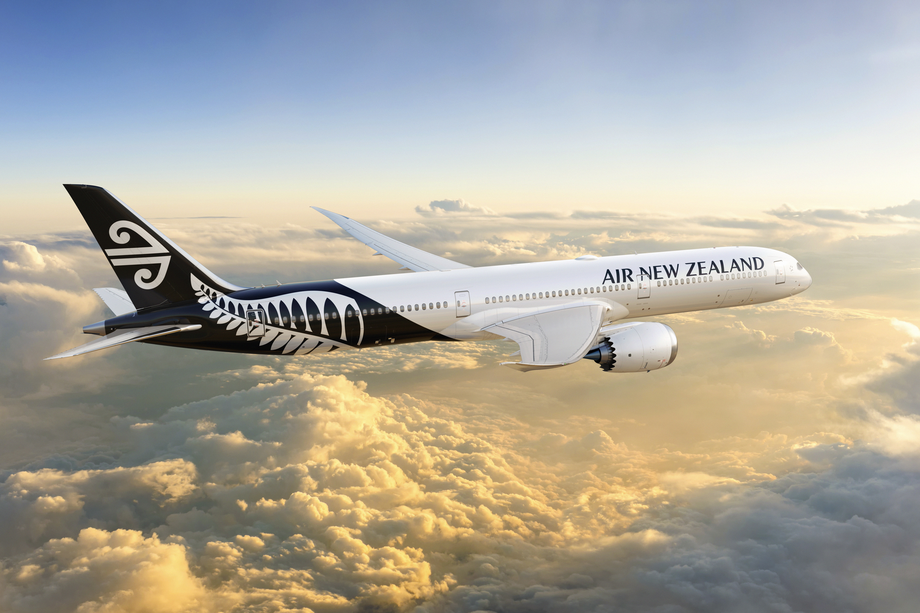 Air new zealand. Самолёт Боинг 787 Air newzeland. Boeing 787-9 Air New Zealand. Air New Zealand авиакомпания. Air New Zealand Дримлайнер.