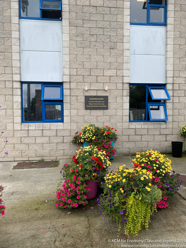 a group of flowers in front of a building