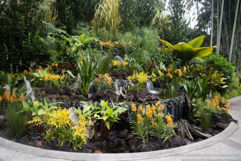 a small waterfall in a garden