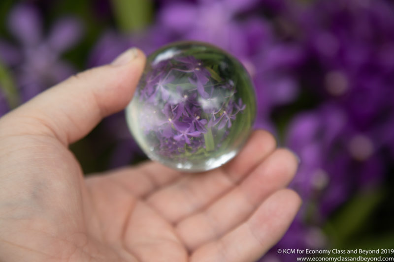 a hand holding a glass ball with purple flowers in it