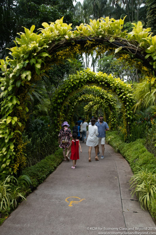 a group of people walking on a path with plants and trees