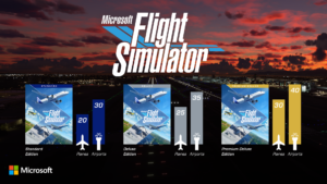 a flight simulator game with a sunset