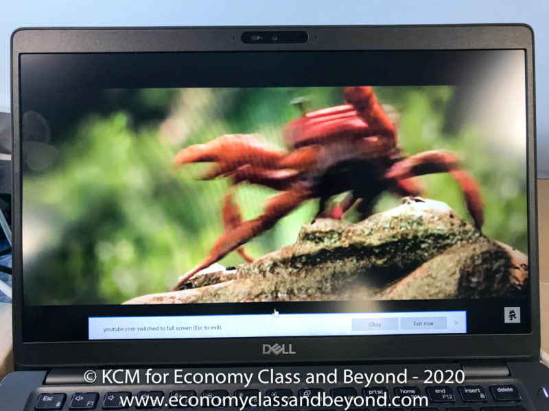 a laptop with a crab on the screen