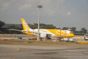 Scoot Boeing 787-8 Dreamliner at Singapore Changi Airport - Image, Economy Class and Beyond