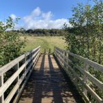 a wooden bridge over a field