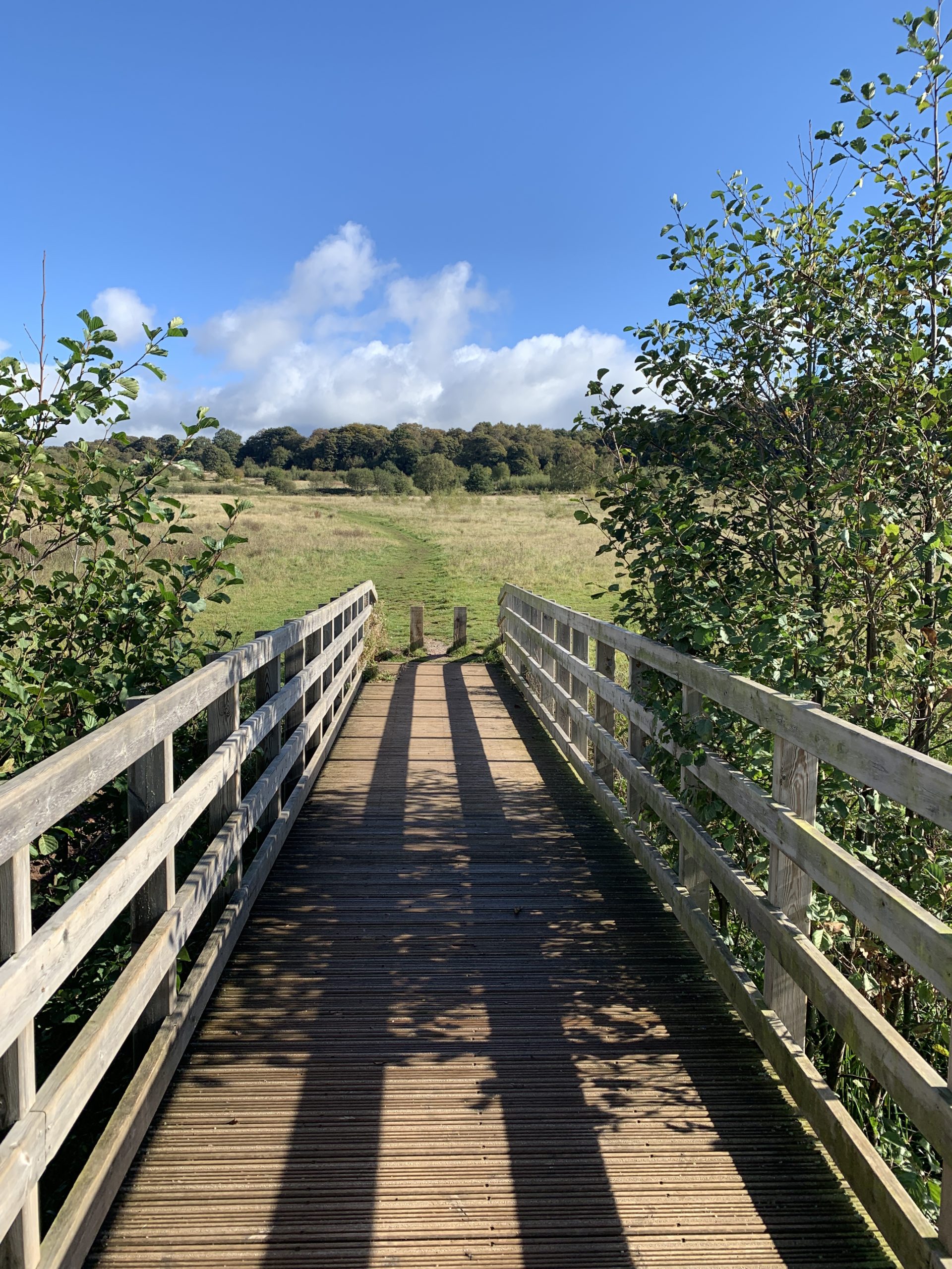a wooden bridge over a field