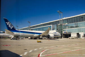 ANA Boeing 787 Dreamliner at Frankfurt Airport - Image, Economy Class and Beyond