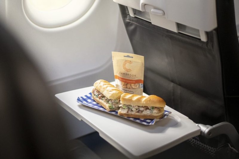 a sandwich on a tray on a plane