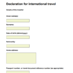a screenshot of a travel form