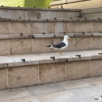 a bird standing on a stone staircase