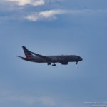 American Airlines Boeing 787-8 arriving at Chicago O'Hare International - Image, Economy Class and Beyond