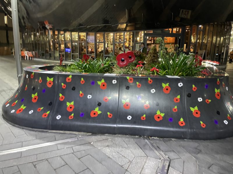 a flower bed with flowers on it