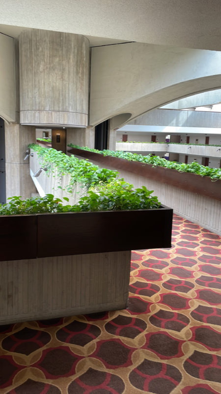 plants in a building with a red carpet