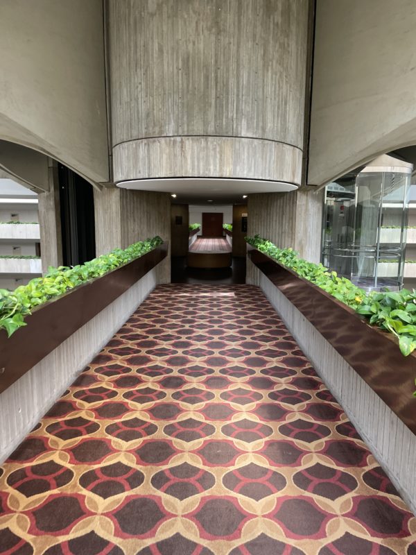 a hallway with plants on the floor