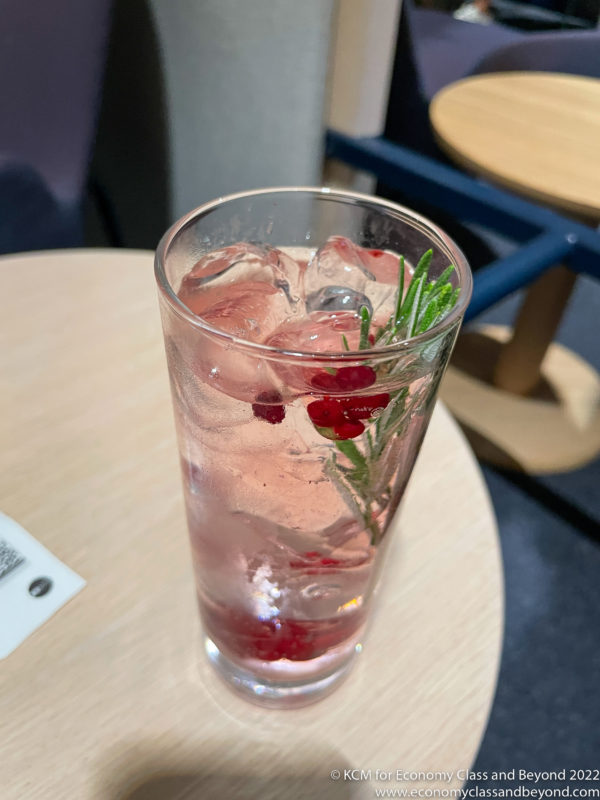 a glass of water with ice and berries