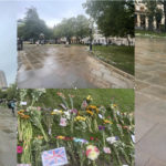 a collage of flowers on the ground