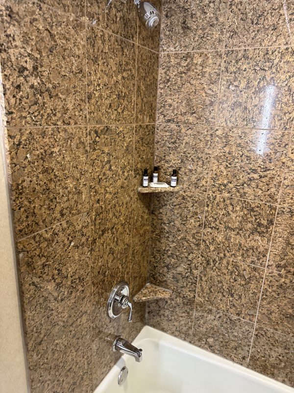 a shower with a shelf and a sink