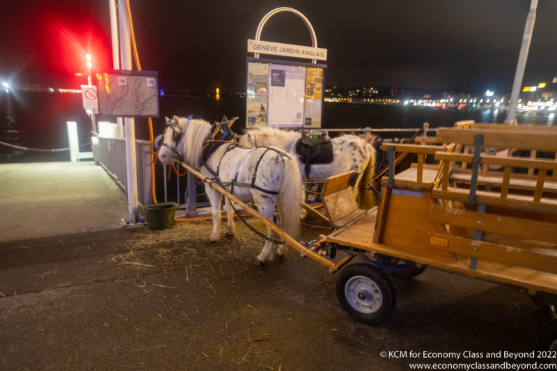 a horse pulling a cart