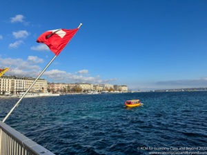 a red flag on a pole in the water