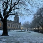a snowy park with trees and a building
