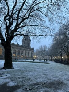 a snowy park with trees and a building